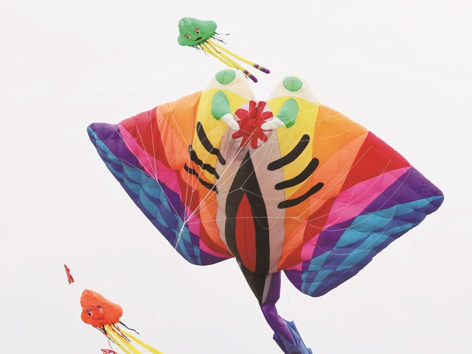 花式紙鳶 翱翔藍(lán)天丨400多個風(fēng)箏扮靚小洋口